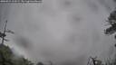 ./images/calvert/fitz-hugh-hecate/20260524/fitz-hugh-hecate20260524_113502M.jpg