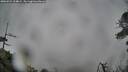 ./images/calvert/fitz-hugh-hecate/20260524/fitz-hugh-hecate20260524_114001M.jpg