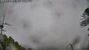 ./images/calvert/fitz-hugh-hecate/20260524/fitz-hugh-hecate20260524_114501M.jpg