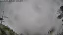 ./images/calvert/fitz-hugh-hecate/20260524/fitz-hugh-hecate20260524_115001M.jpg