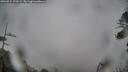 ./images/calvert/fitz-hugh-hecate/20260524/fitz-hugh-hecate20260524_120001M.jpg