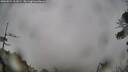 ./images/calvert/fitz-hugh-hecate/20260524/fitz-hugh-hecate20260524_121001M.jpg