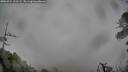 ./images/calvert/fitz-hugh-hecate/20260524/fitz-hugh-hecate20260524_121501M.jpg