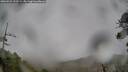 ./images/calvert/fitz-hugh-hecate/20260524/fitz-hugh-hecate20260524_122501M.jpg