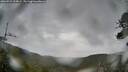 ./images/calvert/fitz-hugh-hecate/20260524/fitz-hugh-hecate20260524_124501M.jpg