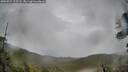 ./images/calvert/fitz-hugh-hecate/20260524/fitz-hugh-hecate20260524_125501M.jpg