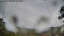 ./images/calvert/fitz-hugh-hecate/20260524/fitz-hugh-hecate20260524_130501M.jpg