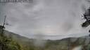 ./images/calvert/fitz-hugh-hecate/20260524/fitz-hugh-hecate20260524_131501M.jpg