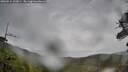 ./images/calvert/fitz-hugh-hecate/20260524/fitz-hugh-hecate20260524_132001M.jpg