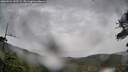 ./images/calvert/fitz-hugh-hecate/20260524/fitz-hugh-hecate20260524_132501M.jpg