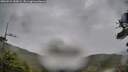 ./images/calvert/fitz-hugh-hecate/20260524/fitz-hugh-hecate20260524_133001M.jpg