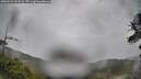 ./images/calvert/fitz-hugh-hecate/20260524/fitz-hugh-hecate20260524_133501M.jpg
