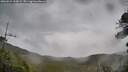 ./images/calvert/fitz-hugh-hecate/20260524/fitz-hugh-hecate20260524_134501M.jpg