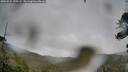 ./images/calvert/fitz-hugh-hecate/20260524/fitz-hugh-hecate20260524_135501M.jpg