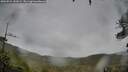 ./images/calvert/fitz-hugh-hecate/20260524/fitz-hugh-hecate20260524_141001M.jpg