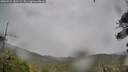 ./images/calvert/fitz-hugh-hecate/20260524/fitz-hugh-hecate20260524_141501M.jpg
