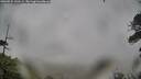 ./images/calvert/fitz-hugh-hecate/20260524/fitz-hugh-hecate20260524_142001M.jpg