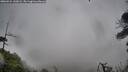 ./images/calvert/fitz-hugh-hecate/20260524/fitz-hugh-hecate20260524_143001M.jpg