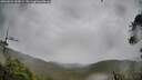 ./images/calvert/fitz-hugh-hecate/20260524/fitz-hugh-hecate20260524_145001M.jpg