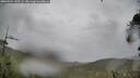 ./images/calvert/fitz-hugh-hecate/20260524/fitz-hugh-hecate20260524_145501M.jpg