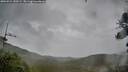 ./images/calvert/fitz-hugh-hecate/20260524/fitz-hugh-hecate20260524_150501M.jpg