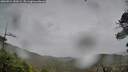 ./images/calvert/fitz-hugh-hecate/20260524/fitz-hugh-hecate20260524_151001M.jpg