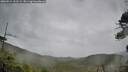 ./images/calvert/fitz-hugh-hecate/20260524/fitz-hugh-hecate20260524_151502M.jpg