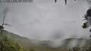./images/calvert/fitz-hugh-hecate/20260524/fitz-hugh-hecate20260524_153001M.jpg