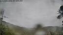 ./images/calvert/fitz-hugh-hecate/20260524/fitz-hugh-hecate20260524_153502M.jpg