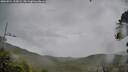 ./images/calvert/fitz-hugh-hecate/20260524/fitz-hugh-hecate20260524_155002M.jpg