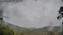./images/calvert/fitz-hugh-hecate/20260524/fitz-hugh-hecate20260524_155501M.jpg
