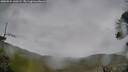 ./images/calvert/fitz-hugh-hecate/20260524/fitz-hugh-hecate20260524_160501M.jpg