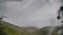 ./images/calvert/fitz-hugh-hecate/20260524/fitz-hugh-hecate20260524_161002M.jpg