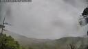 ./images/calvert/fitz-hugh-hecate/20260524/fitz-hugh-hecate20260524_163501M.jpg