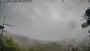 ./images/calvert/fitz-hugh-hecate/20260524/fitz-hugh-hecate20260524_164501M.jpg