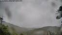 ./images/calvert/fitz-hugh-hecate/20260524/fitz-hugh-hecate20260524_165002M.jpg