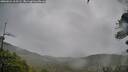 ./images/calvert/fitz-hugh-hecate/20260524/fitz-hugh-hecate20260524_165502M.jpg
