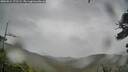 ./images/calvert/fitz-hugh-hecate/20260524/fitz-hugh-hecate20260524_171501M.jpg