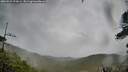 ./images/calvert/fitz-hugh-hecate/20260524/fitz-hugh-hecate20260524_172001M.jpg