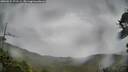 ./images/calvert/fitz-hugh-hecate/20260524/fitz-hugh-hecate20260524_172502M.jpg