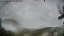 ./images/calvert/fitz-hugh-hecate/20260524/fitz-hugh-hecate20260524_173001M.jpg