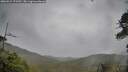 ./images/calvert/fitz-hugh-hecate/20260524/fitz-hugh-hecate20260524_173502M.jpg
