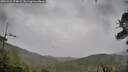 ./images/calvert/fitz-hugh-hecate/20260524/fitz-hugh-hecate20260524_174001M.jpg