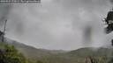 ./images/calvert/fitz-hugh-hecate/20260524/fitz-hugh-hecate20260524_174501M.jpg