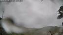 ./images/calvert/fitz-hugh-hecate/20260524/fitz-hugh-hecate20260524_175001M.jpg