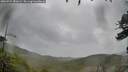 ./images/calvert/fitz-hugh-hecate/20260524/fitz-hugh-hecate20260524_181001M.jpg