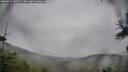 ./images/calvert/fitz-hugh-hecate/20260524/fitz-hugh-hecate20260524_183501M.jpg