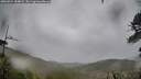 ./images/calvert/fitz-hugh-hecate/20260524/fitz-hugh-hecate20260524_184002M.jpg