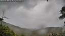 ./images/calvert/fitz-hugh-hecate/20260524/fitz-hugh-hecate20260524_184502M.jpg