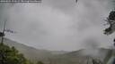 ./images/calvert/fitz-hugh-hecate/20260524/fitz-hugh-hecate20260524_194502M.jpg